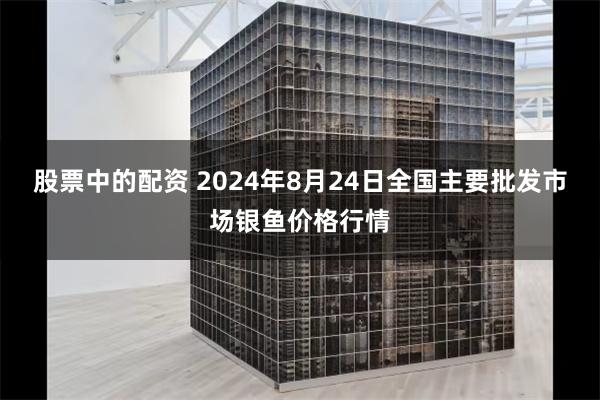 股票中的配资 2024年8月24日全国主要批发市场银鱼价格行情