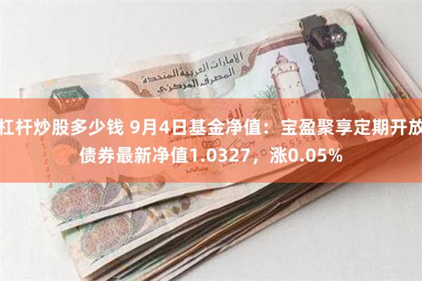 杠杆炒股多少钱 9月4日基金净值：宝盈聚享定期开放债券最新净值1.0327，涨0.05%