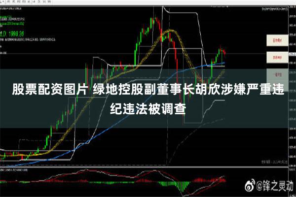 股票配资图片 绿地控股副董事长胡欣涉嫌严重违纪违法被调查