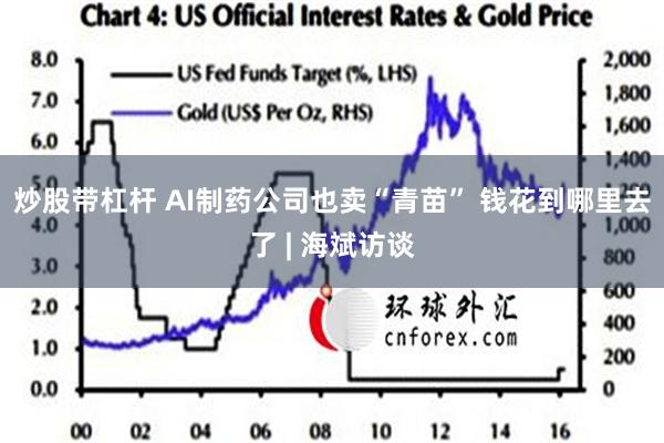 炒股带杠杆 AI制药公司也卖“青苗” 钱花到哪里去了 | 海斌访谈